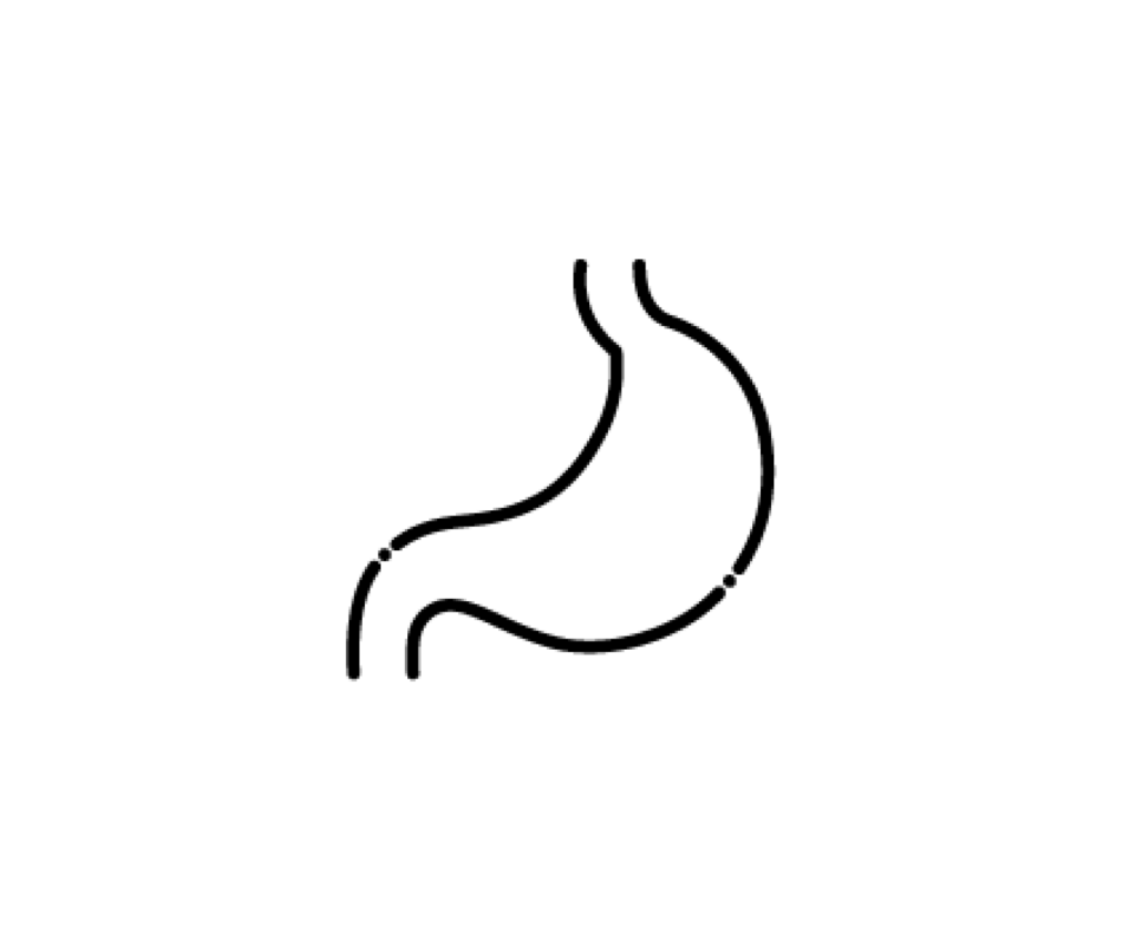 胃（臓器）の白黒イラスト