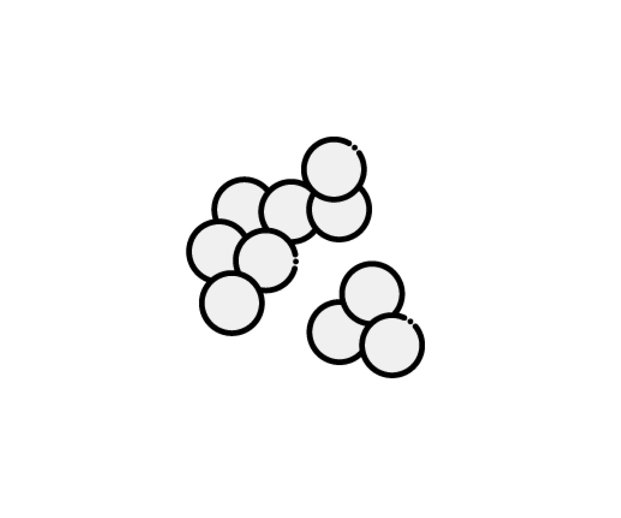 黄色ブドウ球菌のイラスト